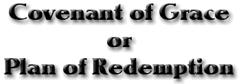 Covenant of Grace or Plan of Redemption